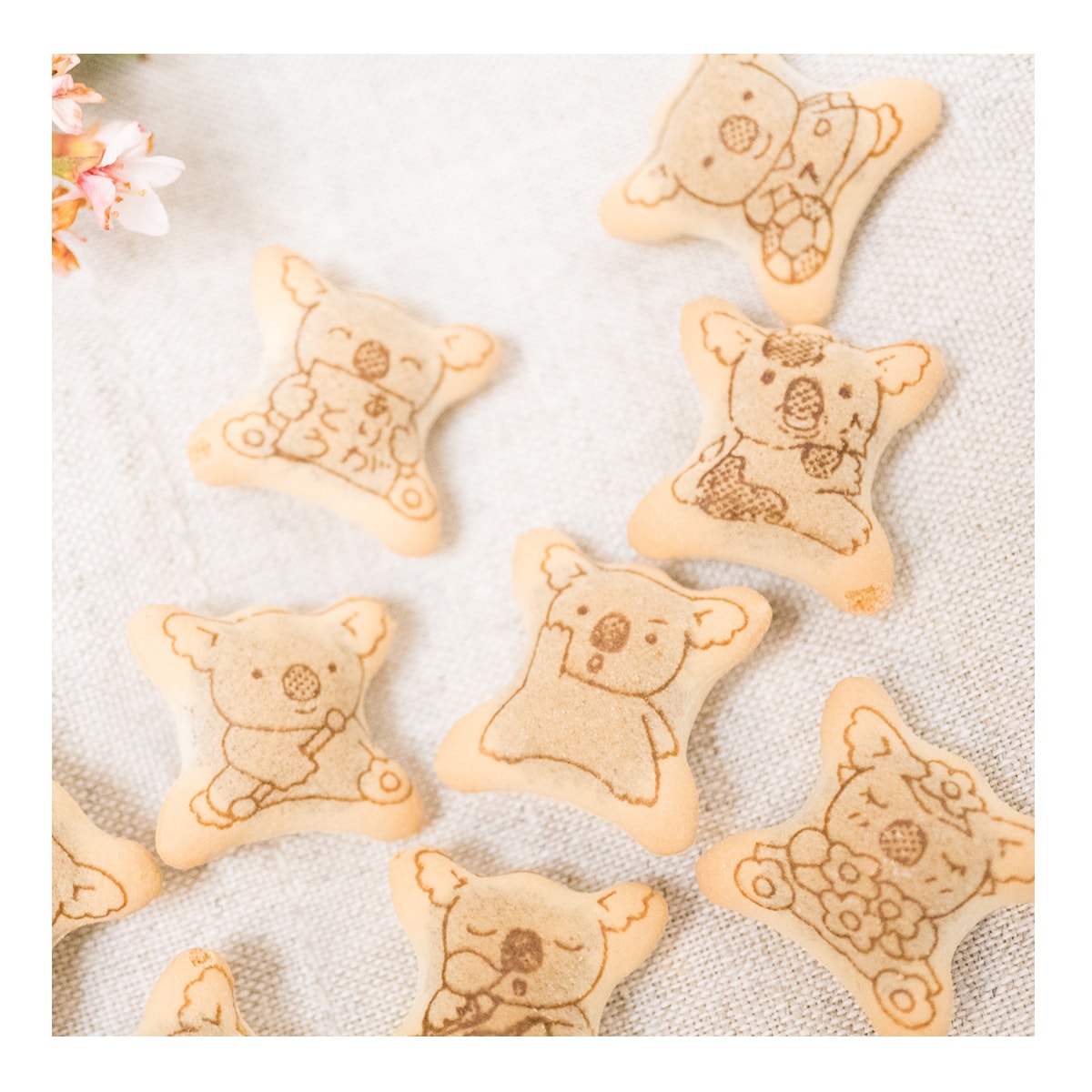 Koala Chocolate Cr??me Filled Cookies - Japanese Dessert, 1.45oz