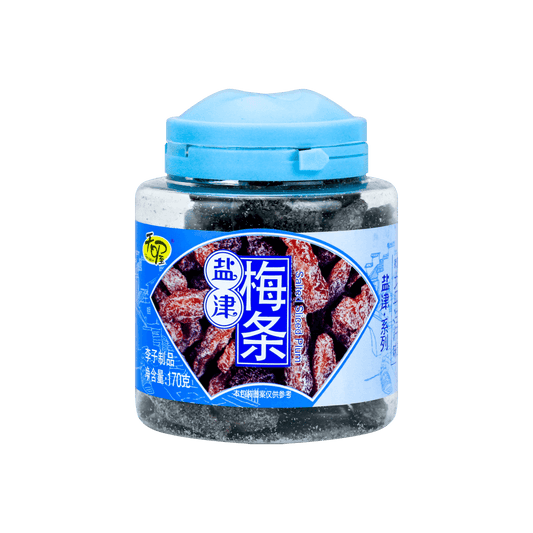 Salted Preserved Fruit 170g