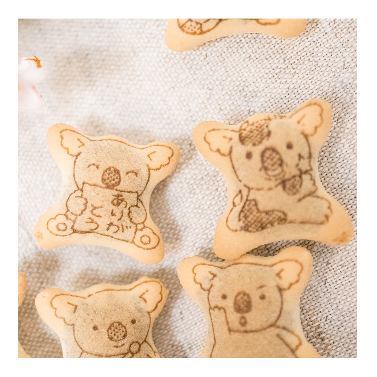 Koala Chocolate Cr??me Filled Cookies - Japanese Dessert, 1.45oz