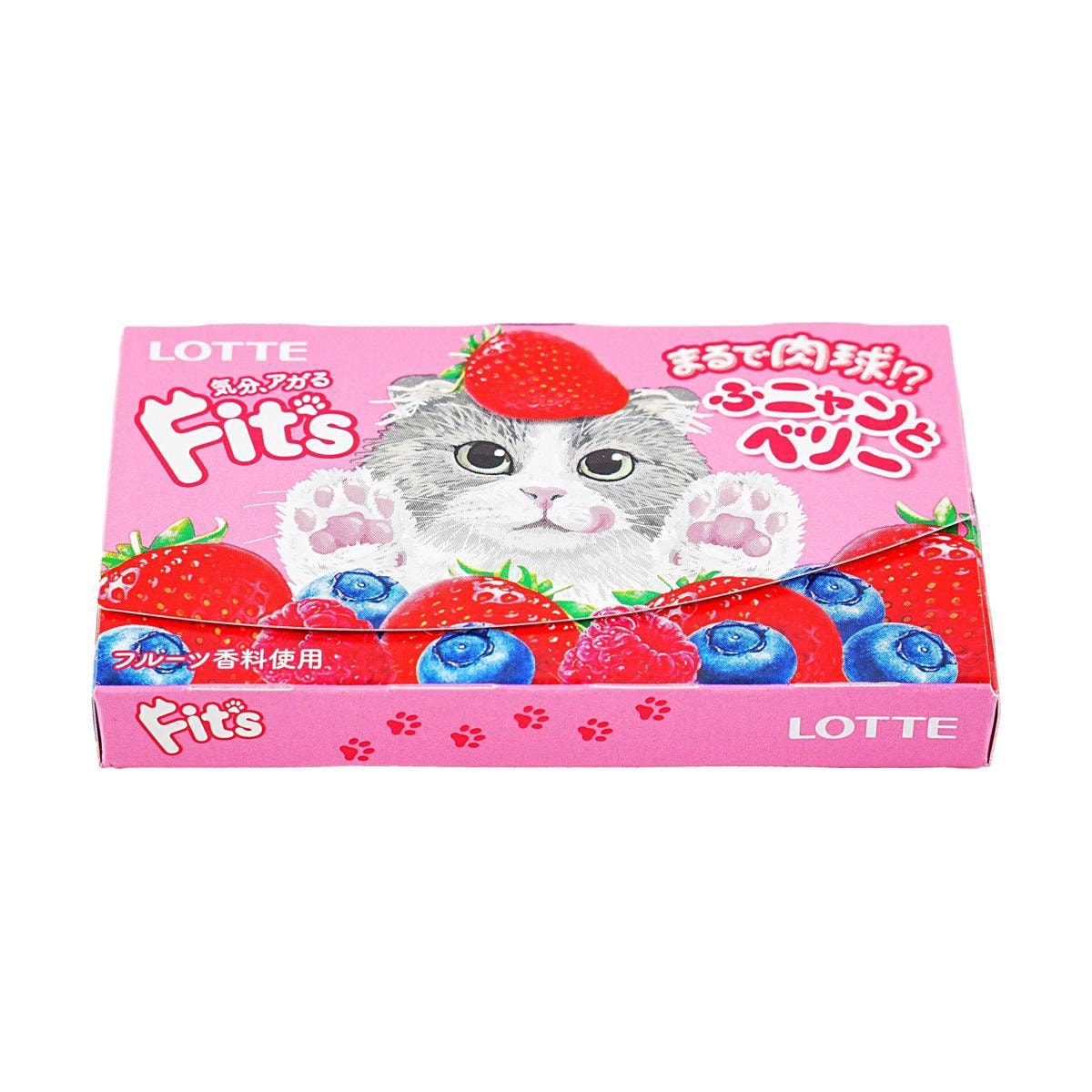Fit'S Gum Blueberry Strawberry Flavor 12 Pieces